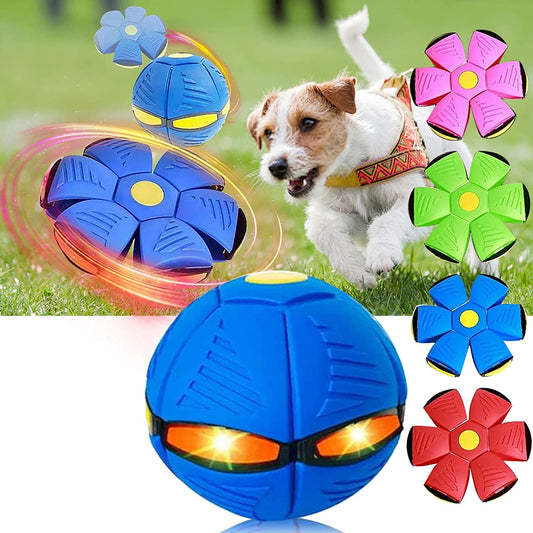 DoggyDisc™ - Flying Saucer Ball Toy