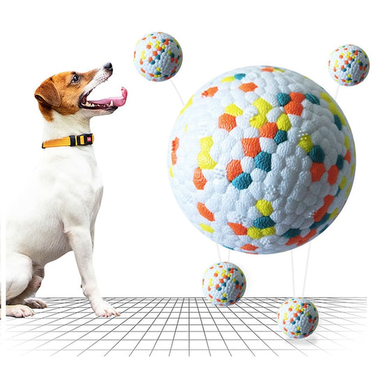 Pet Dog Toy: Light Chew Rubber Ball